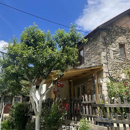 Guest House Guri Vusanje Екстер'єр фото
